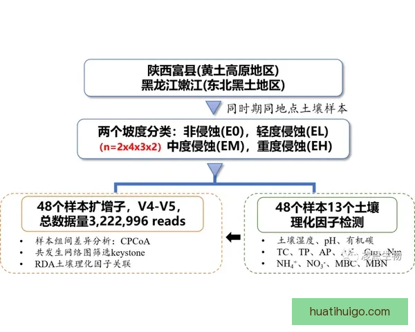 华体会电竞：引领数字竞技风潮打造全新电竞生态圈